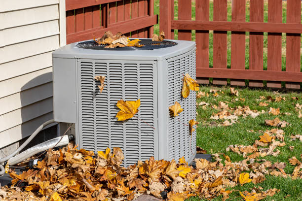 Best HVAC Air Duct Cleaning  in Crewe, VA